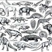 Load image into Gallery viewer, Moschops - Skratch Fossils (12&quot;)