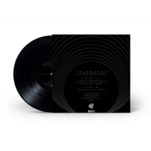 Load image into Gallery viewer, Mr. Brown - Telemetry (12&quot;)