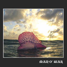 Load image into Gallery viewer, Leighton Harris - Man O War (12&quot;)
